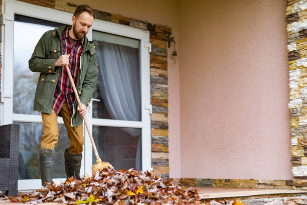 Best Furniture Removal Near Me  in Stewartville, MN
